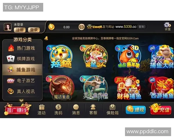 非凡娱乐灾备方案全方位解析与实施策略探讨